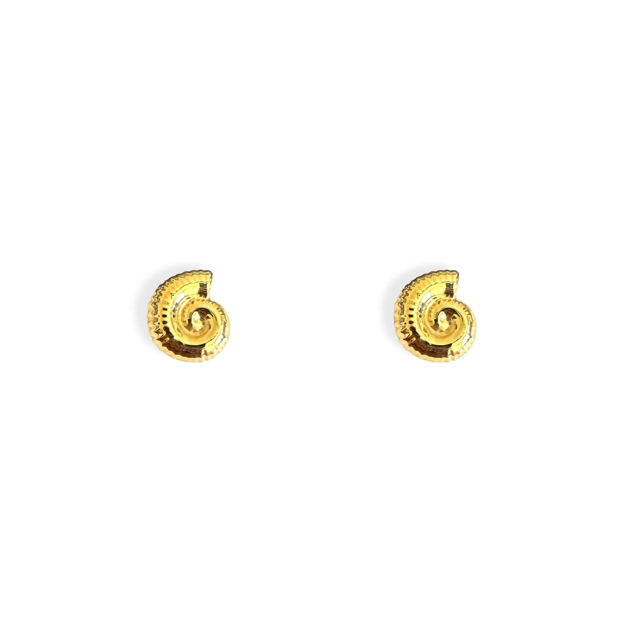 Orecchini Shell spirale
